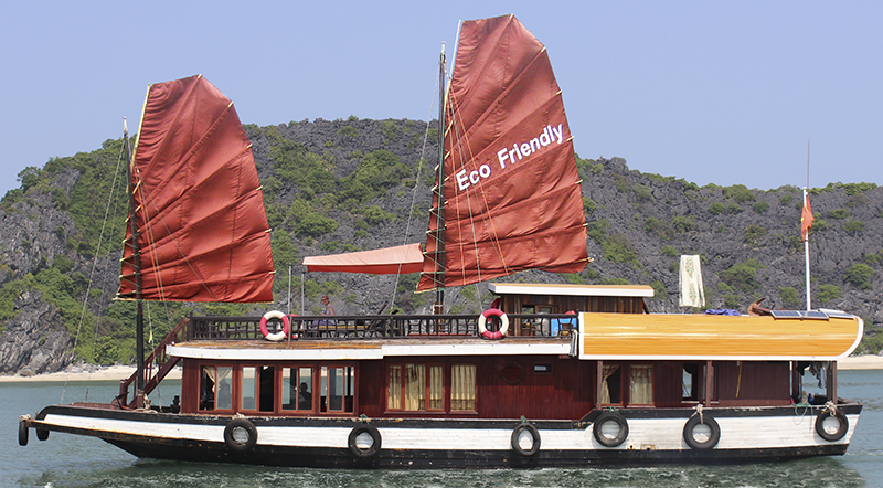 Eco-Friendly Sailing Boat with 2 cabins ( 1 Double + 1 Twin)